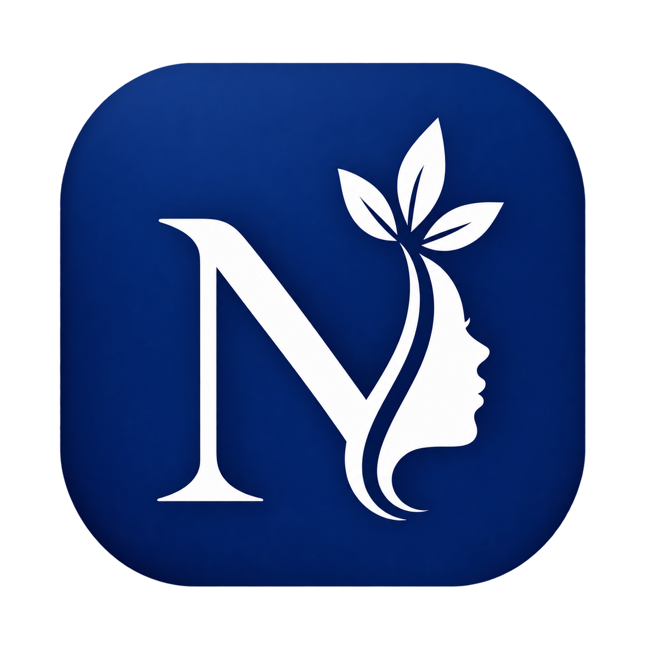 nivoraa.net